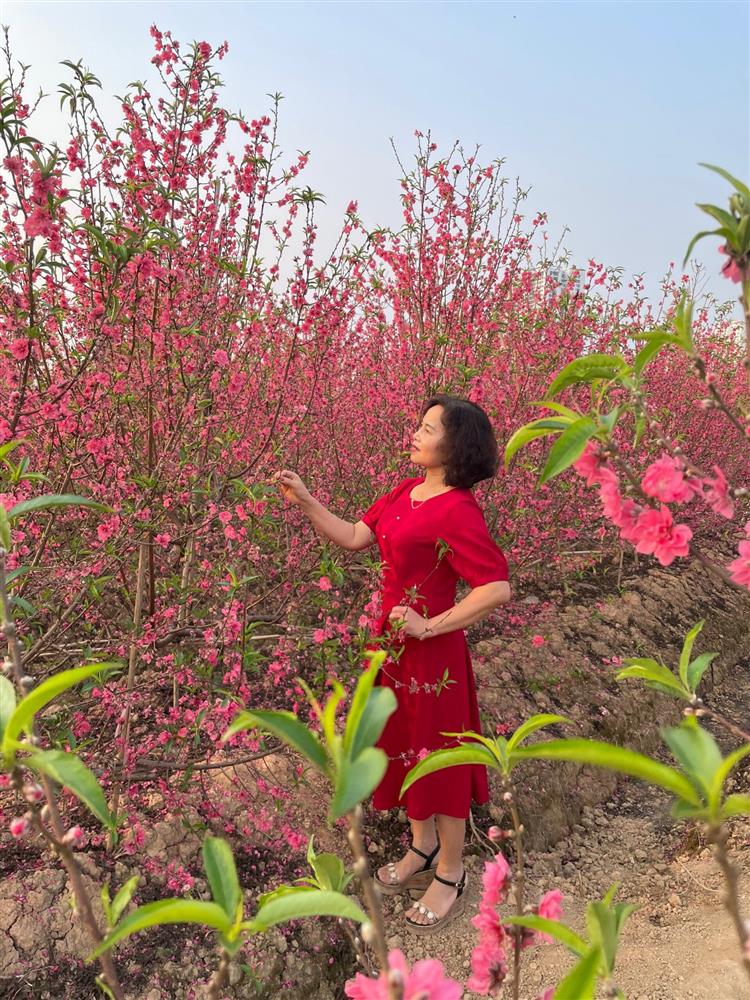  Sắc thắm Hoa đào Nhật Tân đón mùa xuân về